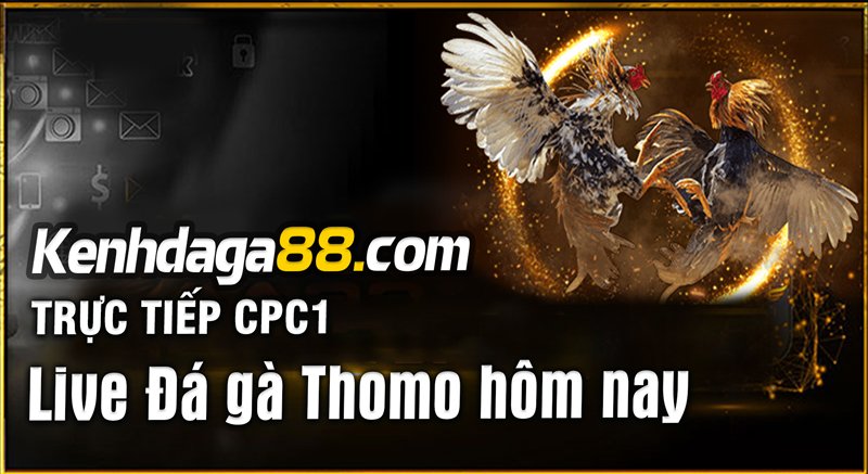 Trực Tiếp Đá Gà Thomo CPC1 DAGA88 [BJ88]