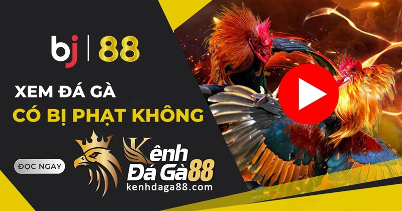 xem-da-ga-co-bi-phat-khong-chi-tiet-kenhdaga88'